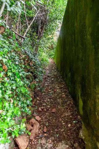 Rifugio Sul Lago Di Lugano A פורטו צ'רזיו מראה חיצוני תמונה