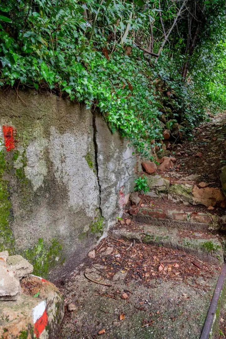 Rifugio Sul Lago Di Lugano A פורטו צ'רזיו מראה חיצוני תמונה